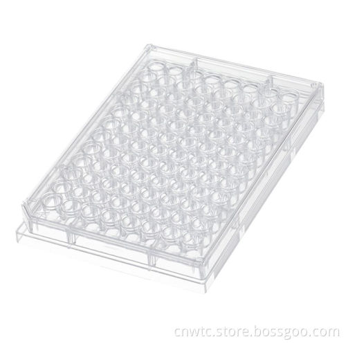 6Wells, 24Wells, 48Wells, 96Wells Cell and Tissue Culture Plates with Tc Treatment: A Comprehensive Guide